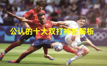 公认的十大双打神拍解析