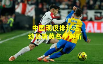中国现役排球运动员精英名单解析